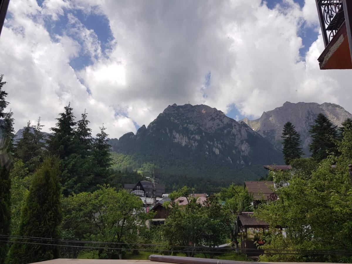 Hotel Iri Буштени Экстерьер фото
