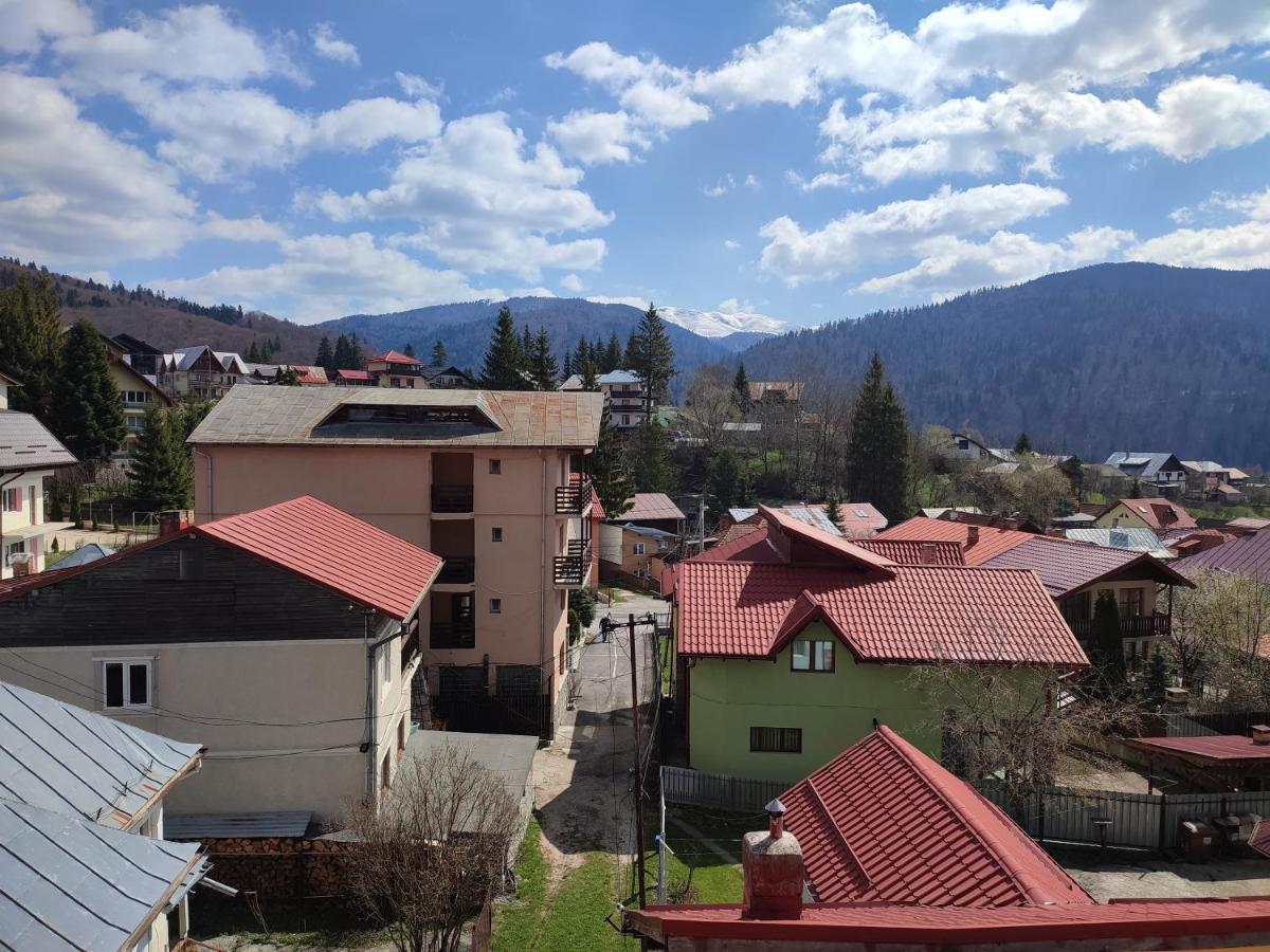 Hotel Iri Буштени Экстерьер фото