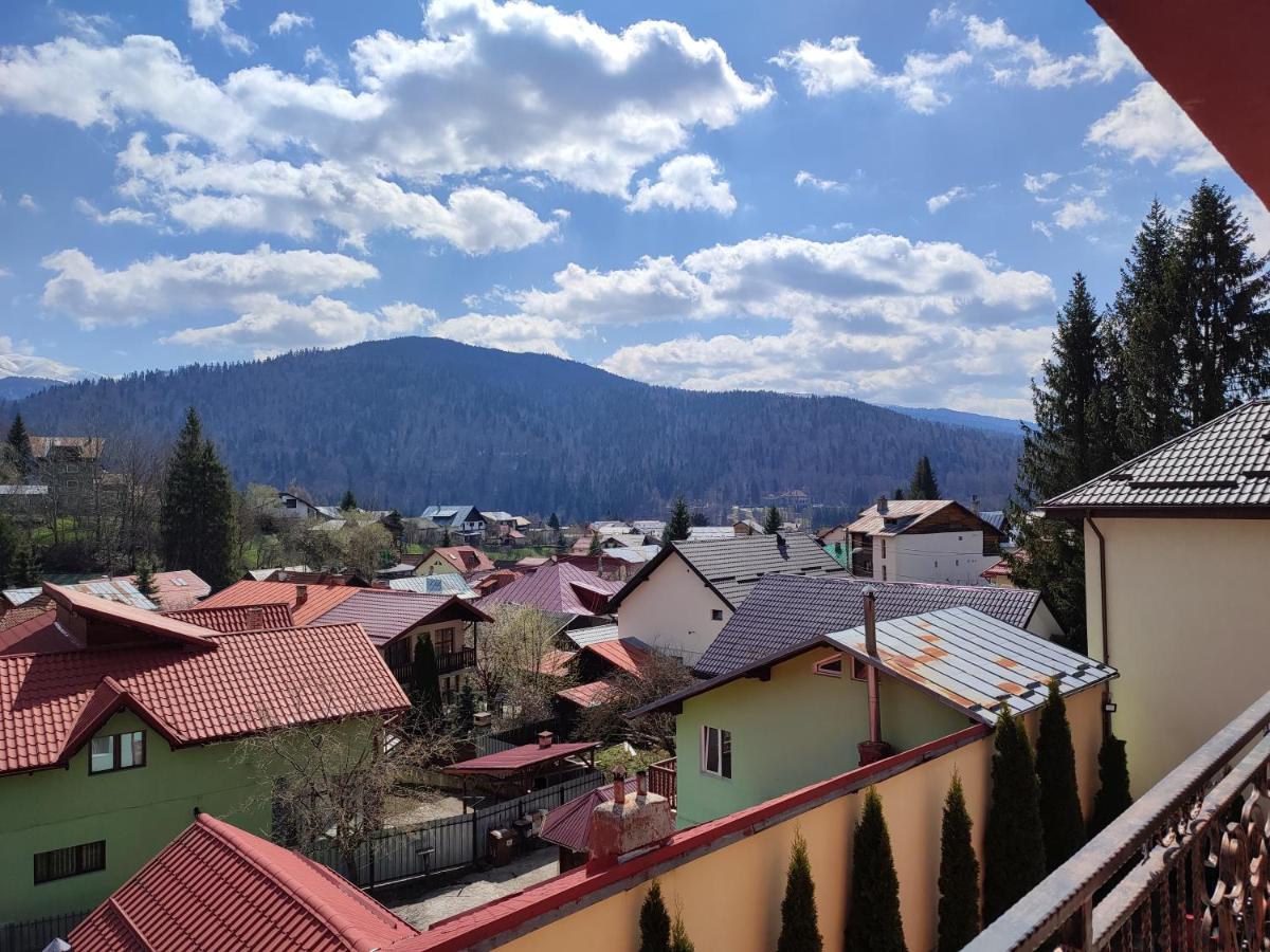 Hotel Iri Буштени Экстерьер фото